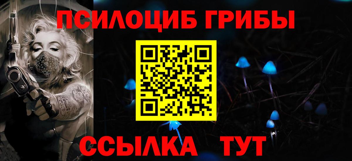 Псилоцибиновые грибы Cubensis Сафоново
